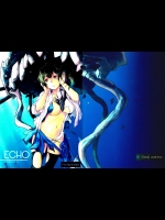 (我、夜戦に突入す! 2) [星野生花店 (ほしの壱夜)] ECHO (艦隊これくしょん -艦これ-)_3