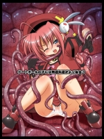 [にゃ～にゃ～興信所]ゲートボールの子には無理矢理がよく似合う(魔法少女リリカルなのは)