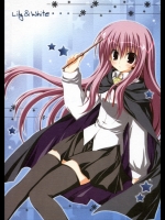 ゼロの使い魔 Lily & White