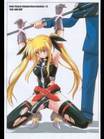 (C74)[サイクロン]“840 BAD END”(魔法少女リリカルなのはStrikerS)