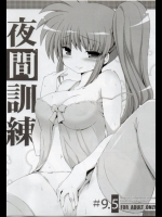 夜間訓練 9.5 (魔法少女リリカルなのは)