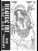 (COMIC1☆3) (同人誌) [RAT TAIL] TORADORA! FILE 川嶋 亜美 画