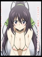 【30枚】IS のエロ画像集その2