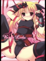 Binde Liebe (魔法少女リリカルなのは)_2