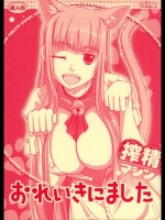 20130105043