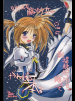 [暗黒暴走組]リリカルな魔法少女が劇場版成功を願ってがんばる本。 (魔法少女リリカルなのは)