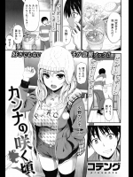カンナの咲く頃