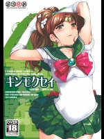 (C80) [泥沼兄弟 (RED-RUM, Mr.Lostman)] キンモクセイ (美少女戦士セーラームーン)_5