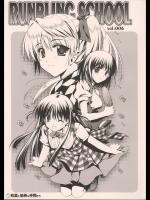 School Rumble - Akabei Soft - Rumbling School Vol.