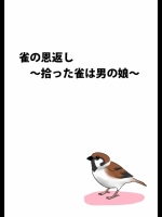 雀の恩返し～拾った雀は男の娘～