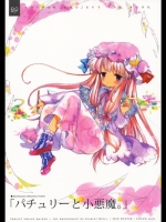 [COCCO] パチュリーと小悪魔。_2