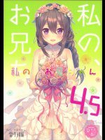 私の、お兄ちゃん4.5番外編