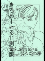 きろめーとる11測量版          