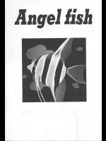 [藤瀬あきら] Angel fish