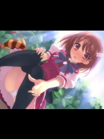 パンチラ_29