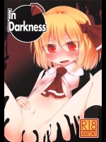 [らーめんらいす] In Darkness (東方Project)