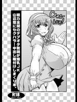 【爆乳】【ストッキング】聖痕のクェイサーのエロ同人誌