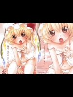 [MeltdoWN COmet]人間のくせになまいきだ。(東方Project)_3