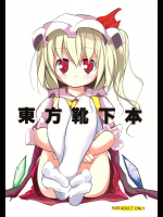 東方靴下本