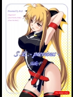 [ArcS] S.E.-previous-Side;F (魔法少女リリカルなのは)