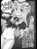 月旅行のお土産          
