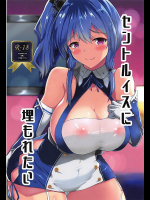 【C94】セントルイスに埋もれたい