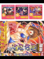 闘姫凌辱 Vol.17―闘うヒロイン陵辱アンソロジー (17)