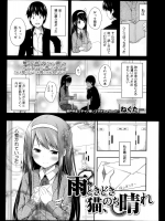 [ねくたー] 雨ときどき猫、のち晴れ