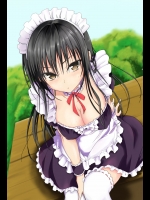 maid20141013