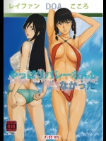 【ストッキング】【中出し】デッド・オア・アライブのエロ同人誌