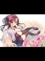 fseiri20150128