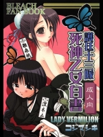 護廷十三隊死神乙女白書          