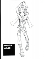 ROUGH vol.25