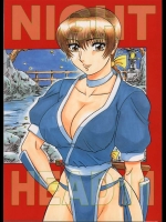 [サークル太平天国 (改多丸)] NIGHT HEAD 11 (デッド・オア・アライブ)