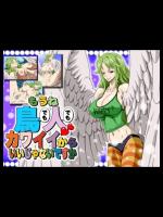 [NEL-ZEL FORMULA] もうね鳥でも人でもカワイイからいいじゃないですか (One Piece)
