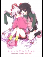 0718595(サンクリ42) (同人誌) [canaria mint] スローリザレクション（東方）