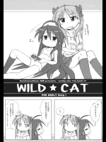 WILD CAT