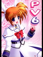 PV6          