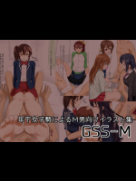 [リトル庶民] GSS-M