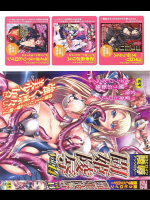 闘姫凌辱 Vol.14―闘うヒロイン陵辱アンソロジー (14)