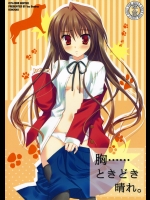 (C75) (同人誌) [KOKIKKO] 胸……ときどき晴れ。 (とらドラ!)