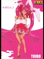 MS：U          