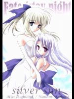 silver sun          