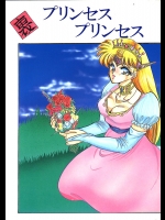 (C43) [サークル太平天国 (よろず)] 裏 プリンセス・プリンセス (よろず)