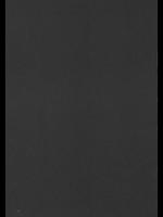 超魔法合体エヴァネギ！