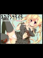 ネコパンカライラ