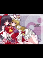 【アナル】【膣内断面図】東方Projectのエロ同人誌_6