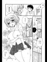 [BENNY'S] スケスケの季節