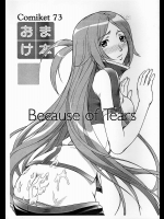 Comiket 73 おまけ本 Because of Tears          