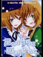 星のかけらに願いを込めて